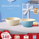 WEDGWOOD[結婚禮物]歡愉假日米飯碗藍色白色2個(gè)飯碗陶瓷餐具15cm碗盤(pán)餐具