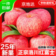 京地達蘋(píng)果水果洛川紅富士蘋(píng)果整箱中秋水果凈重8.5斤單果200g+源頭直發(fā)