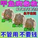 烏龜腐皮專用藥腐甲真菌白斑軟甲爛殼白眼病專用藥沃它護(hù)龜寶噴霧 養(yǎng)龜人推薦【9瓶】救命神器