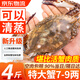 大號(hào)舟山三去免處理鮮切梭子蟹塊 鮮活冷凍梭子蟹 海蟹燒烤可清蒸 特大整蟹7-9兩【凈重4斤】