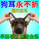 小狗立耳神器狗狗立耳貼德牧犬西高地雪納瑞立耳輔助器耳朵固定貼 三盒周期裝