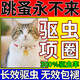 小貓項圈驅蟲(chóng)貓咪防跳蚤體外小幼犬除螨去虱子驅蚊蜱蟲(chóng)圈寵物用品 【紅招財鈴鐺】+加強長(cháng)效驅蟲(chóng)(有聲) S適合【1-6斤左右的】