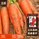 北蔬 紅胡蘿卜種子老品種可生吃秋四季蔬菜籽 五寸參胡蘿卜種子2000粒