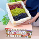 潤(rùn)小萌新疆葡萄新鮮吐魯番 無(wú)核白 玻璃脆 玫瑰香 無(wú)籽提子 禮盒 疆小提三色葡萄4斤