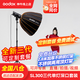 神牛（Godox）SL300W三代直播補(bǔ)光燈LED攝影套裝視頻拍攝常亮燈 SL300三代+QR-P90+格柵+2.8燈架 官方標(biāo)配