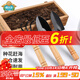 德沃多肥料園藝工具三件套趕海種花挖土鏟子小鐵鏟鐵鍬盆栽養花松土多肉種植
