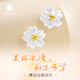 臻匯銀999足銀櫻花耳釘女養(yǎng)耳洞耳環(huán)紀念日生日禮物首飾送女友閨蜜