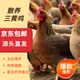 潤萬(wàn)佳 散養三黃雞 凈重2斤*2只裝 紅燒爆炒白切食材 源頭直發(fā)