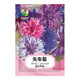 綠林花語(yǔ)矢車(chē)菊種子重瓣混色耐寒四季花卉種子庭院室內外陽(yáng)臺盆栽約1200粒