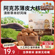 三只松鼠量販袋裝草本味紙皮核桃500g 每日堅果炒貨休閑零食品