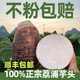 【順豐送貨上門(mén)】廣西正宗荔浦芋頭新鮮現挖特大果芋頭粉糯香軟鮮 大果 單果重 1.7斤以上 新鮮現挖 9斤裝-順豐包郵