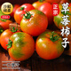 京地達山東鐵皮草莓西紅柿 凈重4.5斤單果50g+番茄生吃新鮮源頭直發(fā)包郵