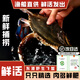丹東飛蟹鮮活梭子蟹新鮮螃蟹當日達非舟山梭子蟹凈重2斤 公蟹2斤 4-6只