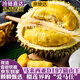 京地達馬來(lái)西亞貓山王榴蓮D197 單果凈重3.5斤液氮帶殼水果源頭直發(fā)包郵