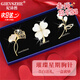 紀(jì)詩(shī)哲（GIEVSZHE）官方品牌郁金香輕奢胸針高檔女西服配飾女奢侈飾品教師節(jié)禮物老師 璀璨星期胸針【當(dāng)日/次日達(dá)】