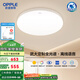 歐普（OPPLE）照明超薄兒童房全光譜護(hù)眼吸頂燈書房燈臥室燈簡約現(xiàn)代燈具WS 【智慧光全光譜】離線語音白臥