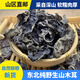 東北野生黑木耳干貨散裝天然秋木耳軟糯500g包郵涼拌黑龍江山特產(chǎn)