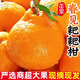春見(jiàn)耙耙柑十斤一箱新鮮水果粑粑葩葩柑當季不知火丑橘丑八怪桔子 特大果（75-80mm)耙耙柑 10斤裝【凈重】