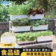 歐林澤oliz種菜專(zhuān)用盆長(cháng)方形自吸水花盆家用霍倫盆蔬菜陽(yáng)臺種菜盆種植箱