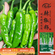 壽禾 樟樹(shù)港辣椒種子種苗湖南二荊條蔬菜籽 壽禾樟樹(shù)港辣椒種子60粒