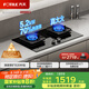 方太灶具TF29B燃?xì)庠顮t雙灶家用嵌入式5.2kW*猛火一級(jí)能效70%熱效率可調(diào)節(jié)底盤 天然氣/液化氣可選 70%熱效率天然氣 可調(diào)節(jié)猛火新款灶具