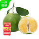 京鮮生 福建青皮翡翠葡萄柚 4.5斤裝 單果300g起 生鮮水果 源頭直發(fā)包郵