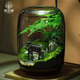 苔蘚微景觀(guān)辦公室diy桌面擺件禮物創(chuàng  )意造景生態(tài)瓶室內綠植盆栽 鳴竹居+木質(zhì)燈座