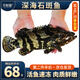 貝鮮貓石斑魚(yú)海捕鮮活冷凍老虎龍躉斑龍膽斑魚(yú)類(lèi)海鮮送禮 海捕石斑魚(yú) 1-1.2斤/條