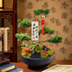 臨雅[兩小時達(dá)]中秋節(jié)送禮五層塔松盆栽青松綠植松樹喬遷開業(yè)盆景植物拍照選貨（單拍不發(fā)貨）