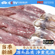 昌鮮園舟山大魷魚(yú)整只鮮活冷凍槍烏賊新鮮長(cháng)管魷魚(yú)海鮮鐵板燒烤筆管魷魚(yú) 2斤裝【約3條】 1000g(凈重)