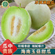 南步海南玉菇甜瓜 正宗冰淇淋甜瓜奶香蜜瓜冰激凌軟糯哈蜜瓜新鮮水果 凈重8.5-9斤 精選瓜【約3-7個(gè)裝】