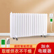 維森美取暖器/電暖氣/電暖器/加水暖氣片家用水暖注水節(jié)能省電加熱器歐式快熱爐掛墻電暖氣 18柱智能遙控款【18-20平】