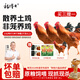 楊博士 皖南散養(yǎng)土雞4只 凈重4斤 未打鳴小公雞童子雞三黃雞源頭直發(fā)