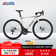 喜德盛公路自行車2025款A(yù)D300油碟UCI車架2x10速中空一體牙盤桶軸破風(fēng)車 白蛇 480mm