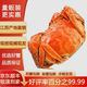 【活蟹】（網(wǎng)兜蟹）泰州興化大閘蟹生鮮活螃蟹海鮮水產(chǎn)足斤足兩 公母混搭3斤裝（約15-22只) 保底5只母蟹