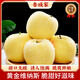 脆甜多汁黃金維納斯蘋(píng)果鮮水果整箱當季紅蛇果粉面水果產(chǎn)品禮盒蘋(píng) 黃金維納斯蘋(píng)果70mm-80mm 試吃裝【一斤】個(gè)頭不選