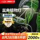 三思京東集采JC系列全光譜植物燈補(bǔ)光燈仿太陽光植物生長(zhǎng)盆夾燈-12W