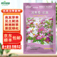 斡爾園林野花組合波斯菊花卉種子四季播種開(kāi)花種籽花種子 