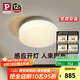 Paulmann P德國柏曼人體感應LED吸頂燈防水防塵陽臺入戶門廳走廊燈具 20W 6㎡內(nèi)適用 1100lm 【人體感應】