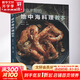 專業(yè)主廚的地中海料理教本 河南科學(xué)技術(shù)出版社 謝宜榮 著 書籍 圖書