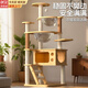 貝初眾貓爬架大型貓樹(shù)貓窩一體不占地通天柱非實(shí)木攀爬架玩睡貓屋玩具 奇妙喵仙堡【雙倉單窩】 138cm五層【豪華太空艙】