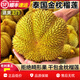 沭鮮園泰國進(jìn)口金枕榴蓮新鮮水果帶殼鮮果軟糯香甜【多地次日達】 【A級精品3-4斤單果】吃貨優(yōu)選