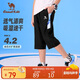 駱駝兒童褲子春夏速干涼感七分褲休閑短褲運動(dòng)褲