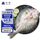 鴻順?三去海鱸魚3斤3條 去鱗去腮去內(nèi)臟 國產(chǎn) 生鮮魚類 源頭直發(fā)