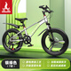 鳳凰山地自行車(chē)男女變速山地車(chē)碟剎青少年兒童自行車(chē)學(xué)生單車(chē) 星際3 變速三刀輪-銀綠 20英寸（建議身高130-160cm）