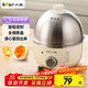 小熊（Bear） 煮蛋器 小型家用電蒸鍋智能定時(shí)不銹鋼蒸蛋器自動(dòng)斷電蒸鍋雞蛋羹迷你雞蛋器易操作 單層 【旋鈕定時(shí)+304不銹鋼】ZDQ-B07C3