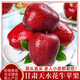 閩農語(yǔ)果花牛蘋(píng)果粉面蘋(píng)果當季鮮果水果送禮蛇果節日甘肅天水花牛蘋(píng)果 5斤【單果60mm+】?jì)糁?.5斤 產(chǎn)地直發(fā)