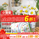 德沃多肥料小雛菊種子DIY兒童趣味種植盆栽套裝學(xué)生植物觀(guān)察杯六一兒童節