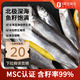 海名威 MSC認證 冷凍冰島帶籽多春魚(yú)籽率99% 2斤 深海魚(yú) 燒烤 海鮮水產(chǎn)