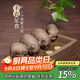 藏壺天下 喝水槽創(chuàng  )意手工宜興段泥紫砂四只豬茶玩茶寵擺件豐衣足食